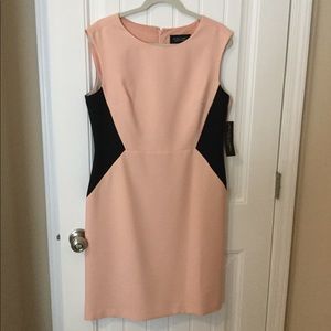 Pink Black Label by Evan-Picone dress